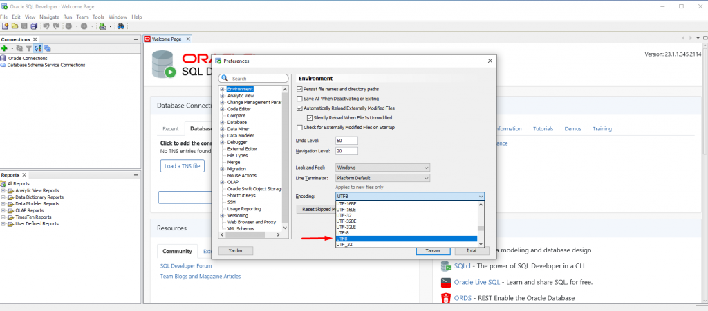 SQL Developer UTF Ayarı